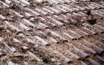 Greengill roof cleaning companies